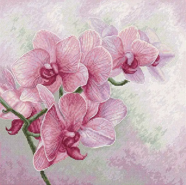 Cross stitch Kit  Canvas Cross Stitch Embroidery Set  -20-Luca-S 7009 Butterfly Orchid 38-38 Cross Stitch Set