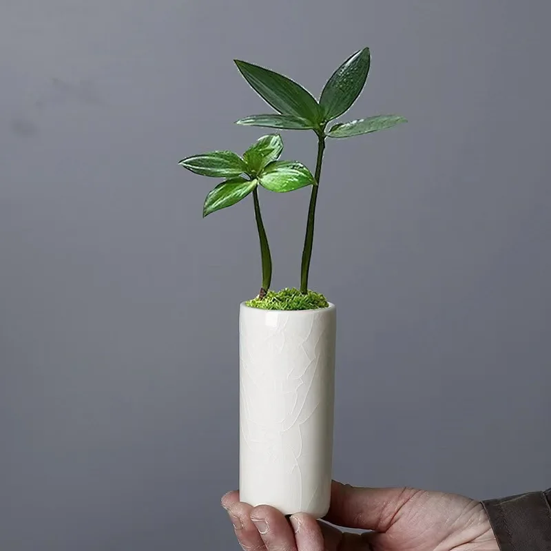 Small Straight Ice Crack Glaze Mini Flower Pot Succulent Plant Bamboo Hotel Creative Ceramic Desktop Pottery With Hole