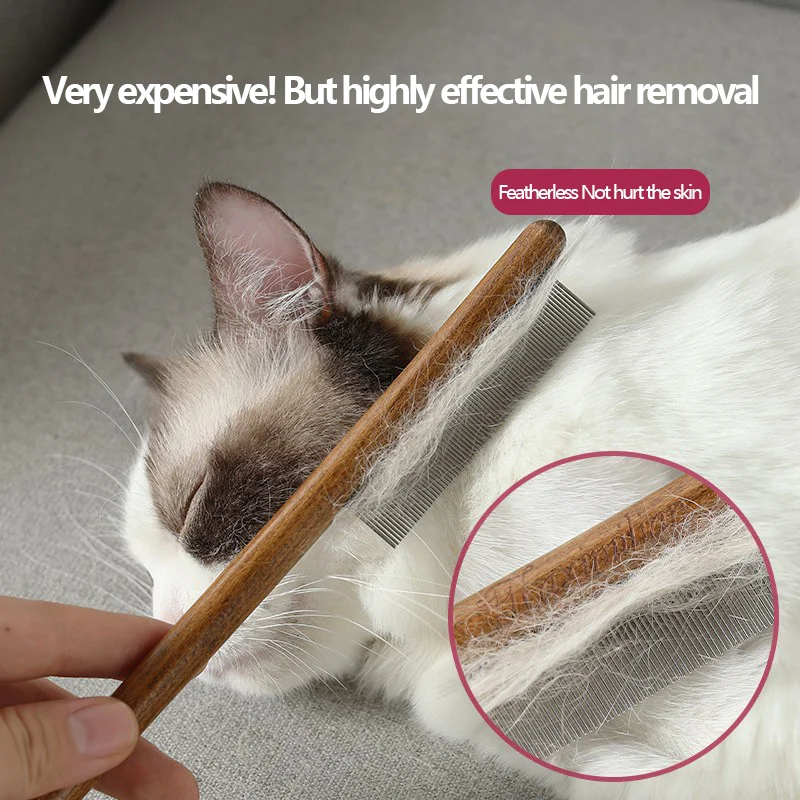Snapshot of Cat Hair Removal For Thin Skinned Cats