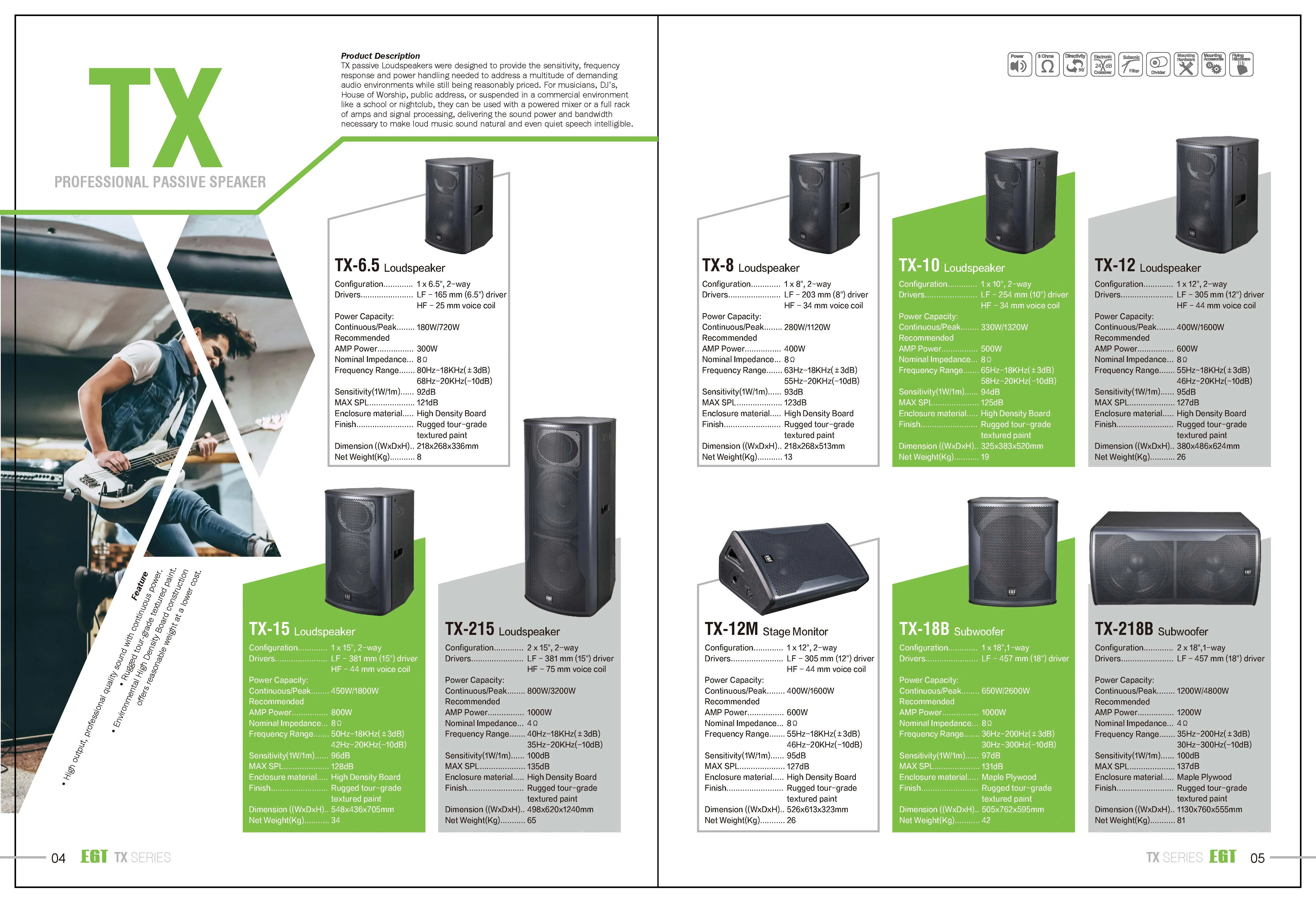 10 Inch 2Way Birch Passive Lin - đánh giá và giá Speaker Crossover