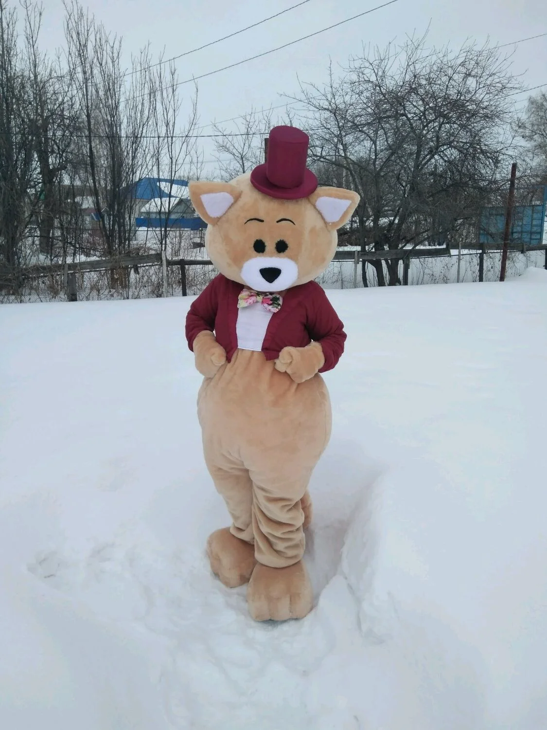 

Рекламная прогулка, костюмы талисмана, одежда, пушистый бурый медведь, талисман, красный костюм, карнавальная вечеринка, модный показ