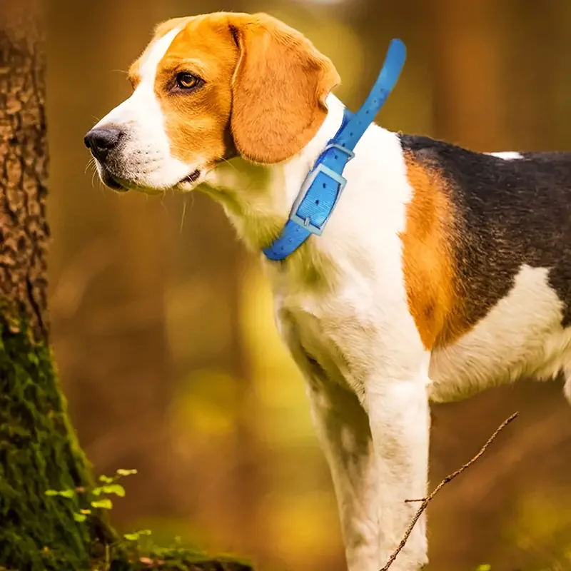 Hunting Dog Collar Non-Toxic TPU Waterproof Collar for Large Dogs Adjustable Durable Easy Clean Pet Training Accessory