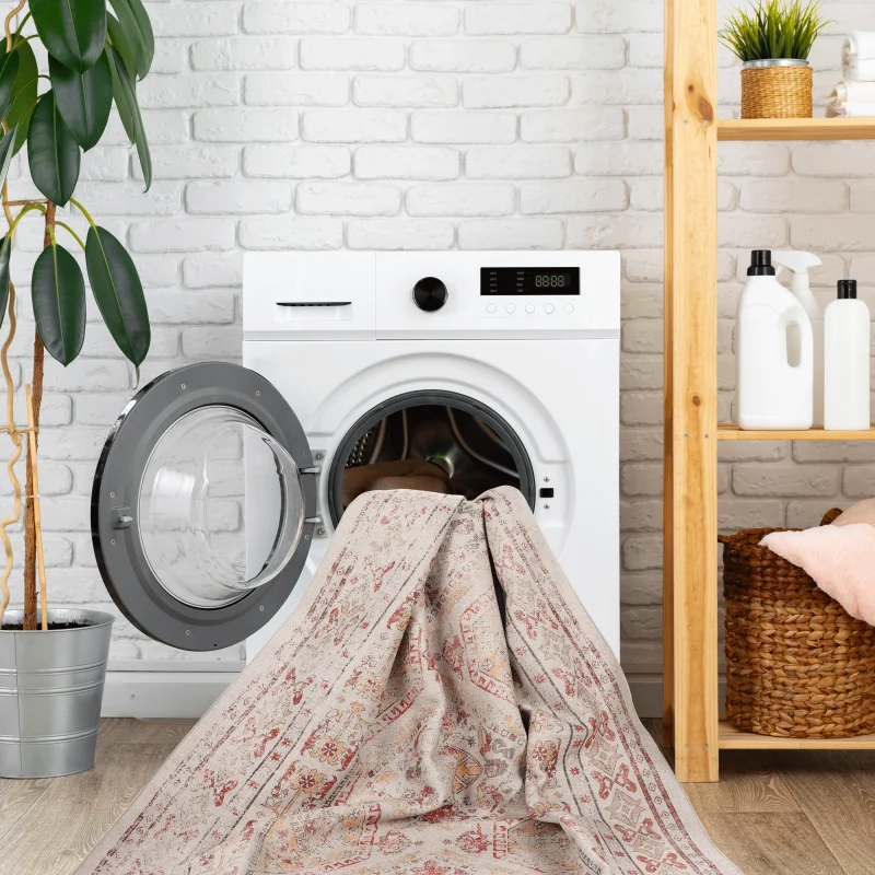 NAAR MAVAL Tappeto lavabile beige 3x5 Tappeto (beige, 3' x 5')