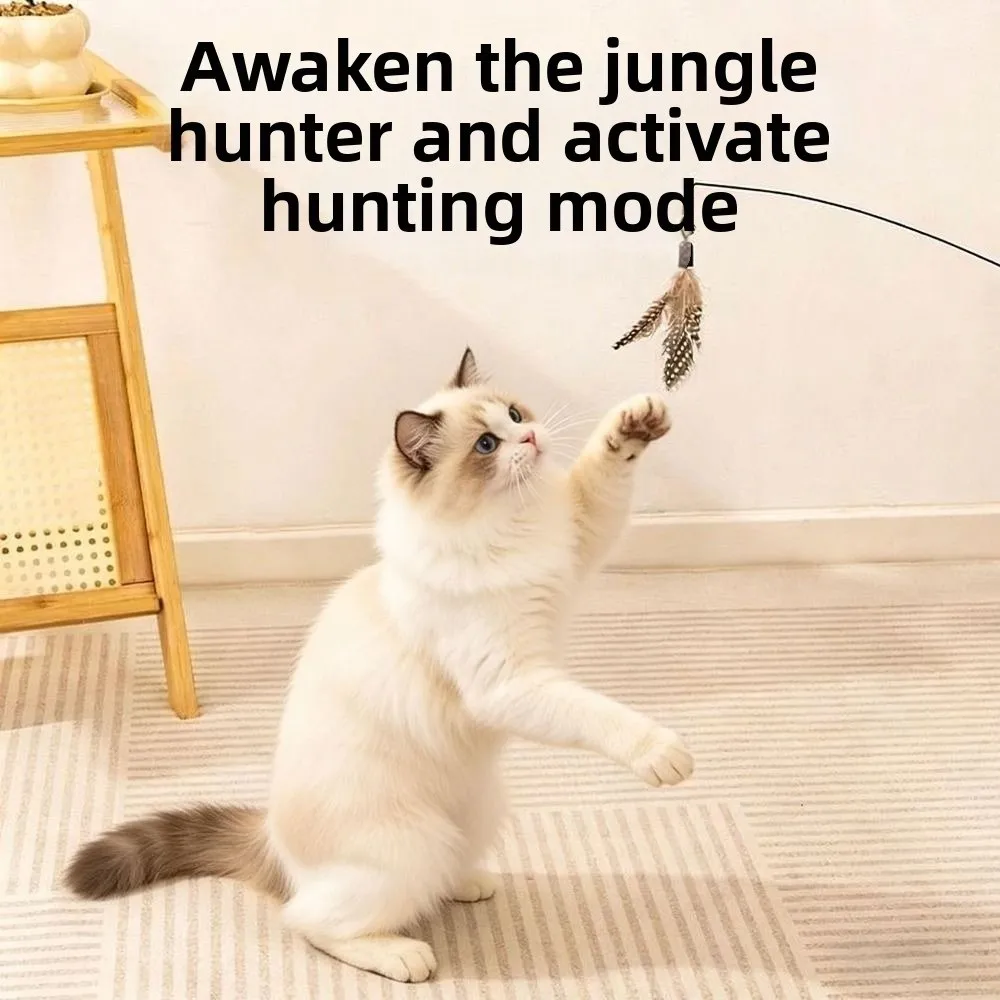 Wooden Handle Spring Teasing Cat Stick Feather Interactive Cat Teaser Stick Simulation Fishing Rod Replaceable Bell Squeaky Cat
