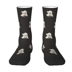 Westie West Highland White Terrier Dog Dress Calcetines para hombre y mujer, cálidos y divertidos, novedad