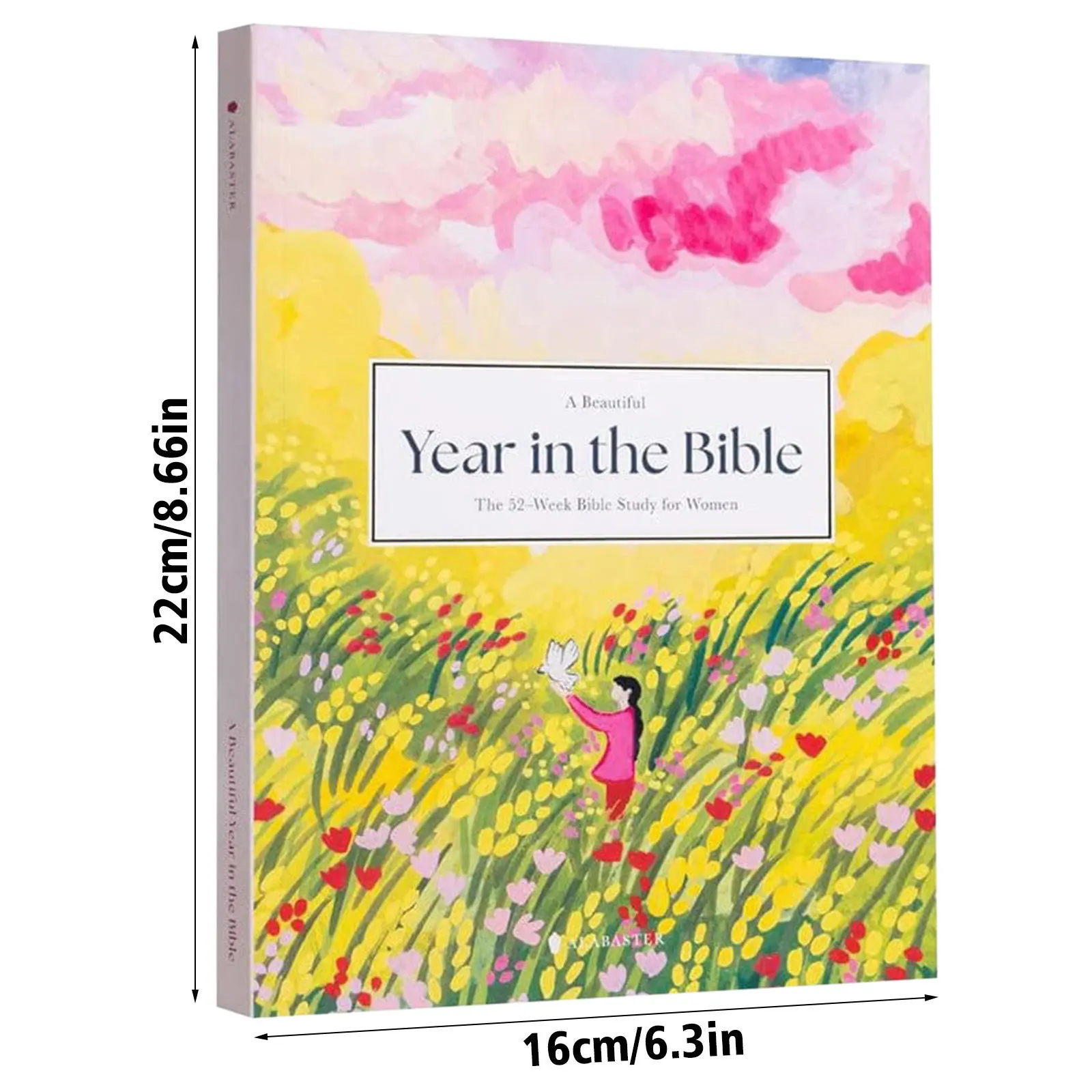 2 Styles Book A Beautiful Year In The Bible 52 Week Study Guide for Women with Suggested Readings Inspirational Devotional Gift