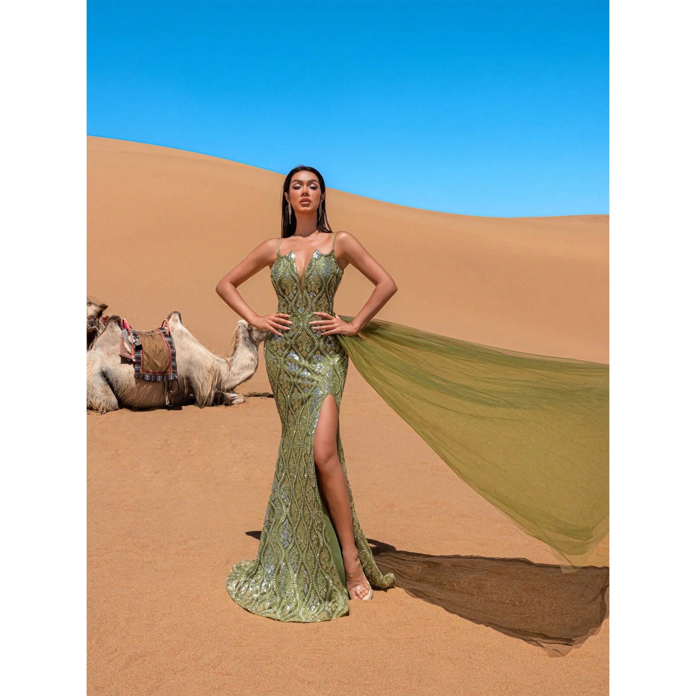 

Gorgeous Sheer Overlay Mermaid Hem Beaded Sequined Slip Evening Dress