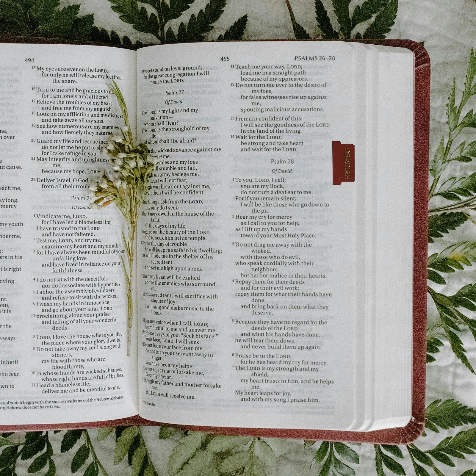 

10 Sheets Bible Index Tabs Material Clear Visible Book Tabs For Bible Study Scripture Journaling Reading