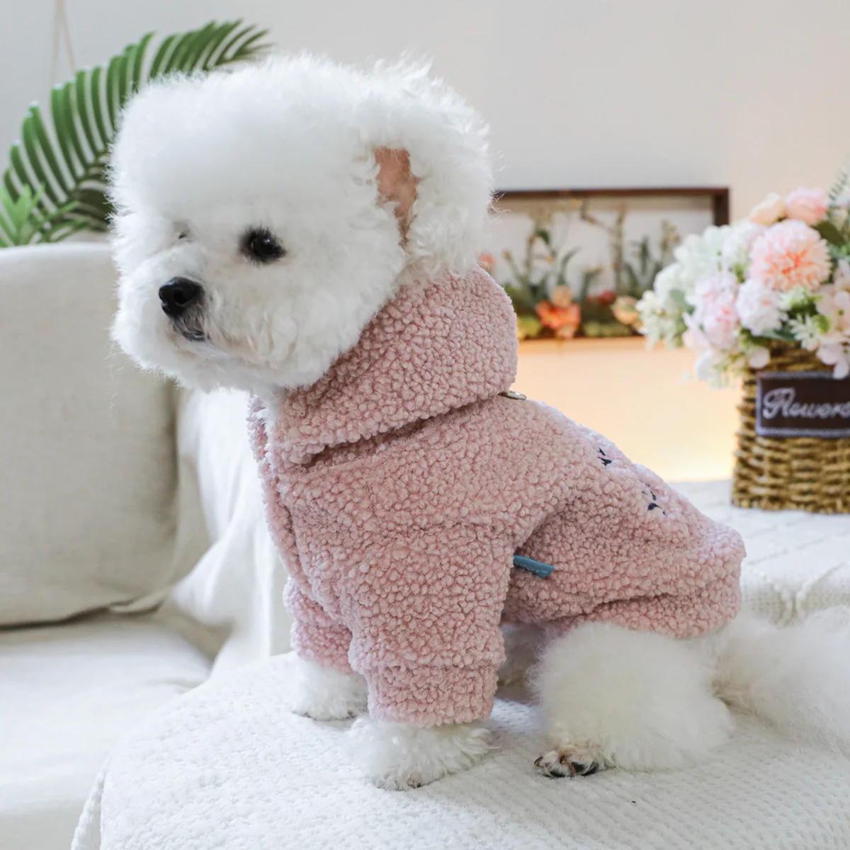 1PC pet clothing autumn and winter thick velvet coffee pink New York starlight hat jacket suitable for small and mediumsized dog