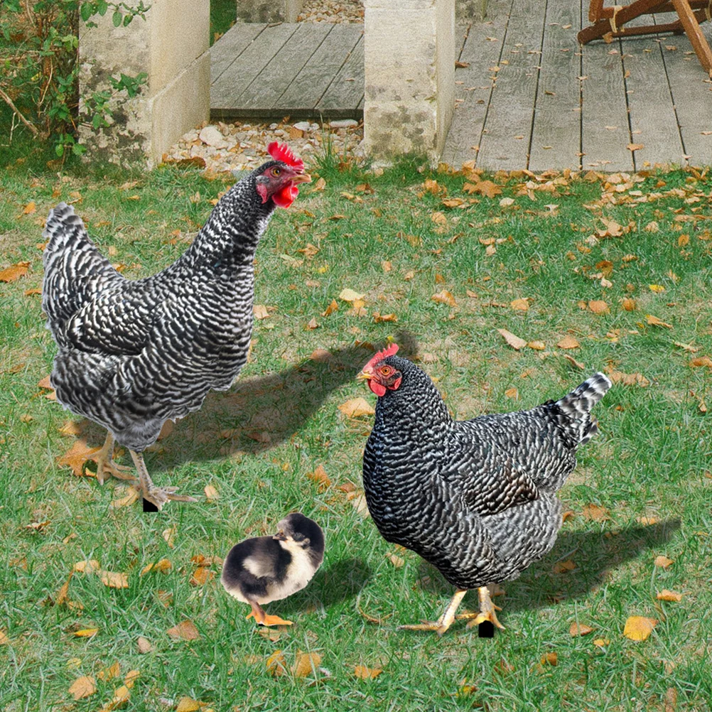 Lawn Imitation Chicken Insert Card Hen Garden Stakes Acrylic Animal Sign Decor for outside