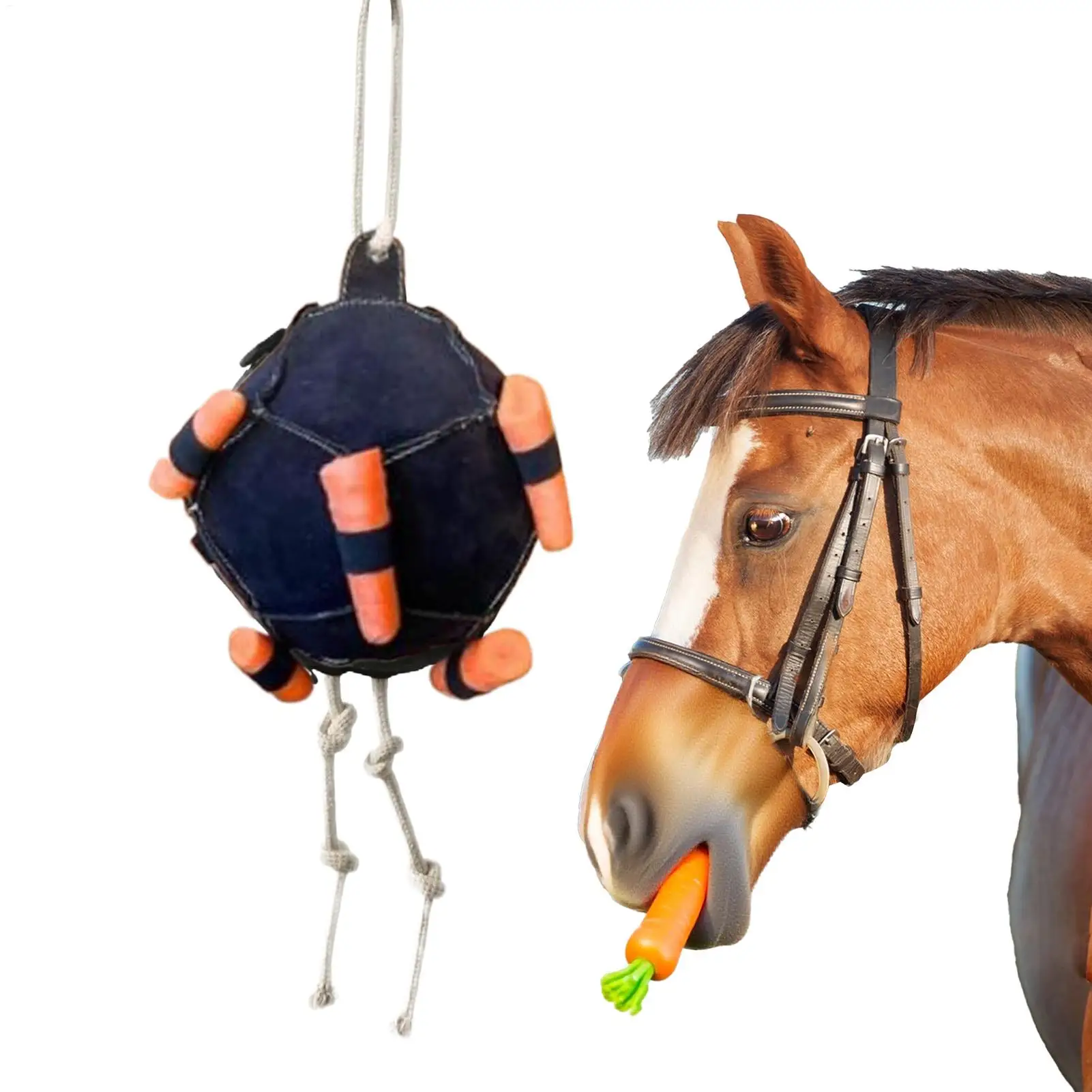 Horse Carrot Feedin…