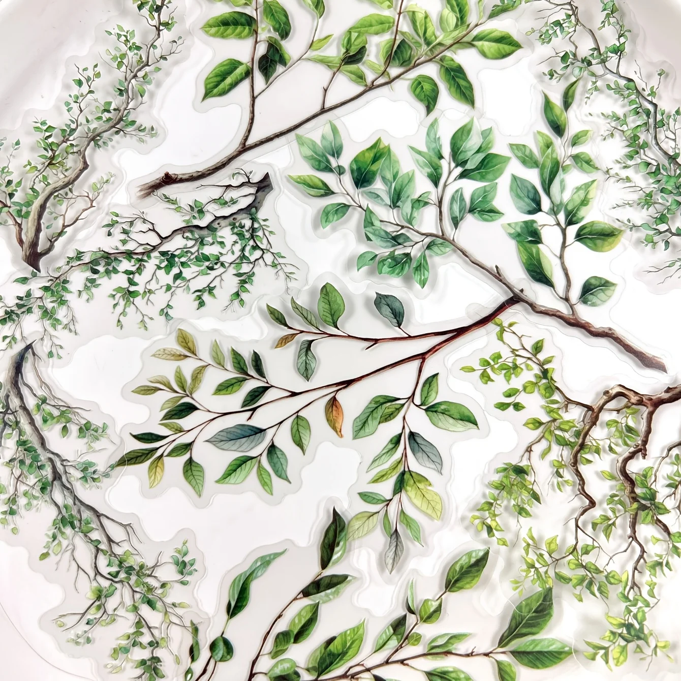 20 pcs Plant Branch Leaf Themed Sticker pack，Scrapbook，Photo Frame，Diary Stickers，DIY Decorative，Creative Stationery Stickers