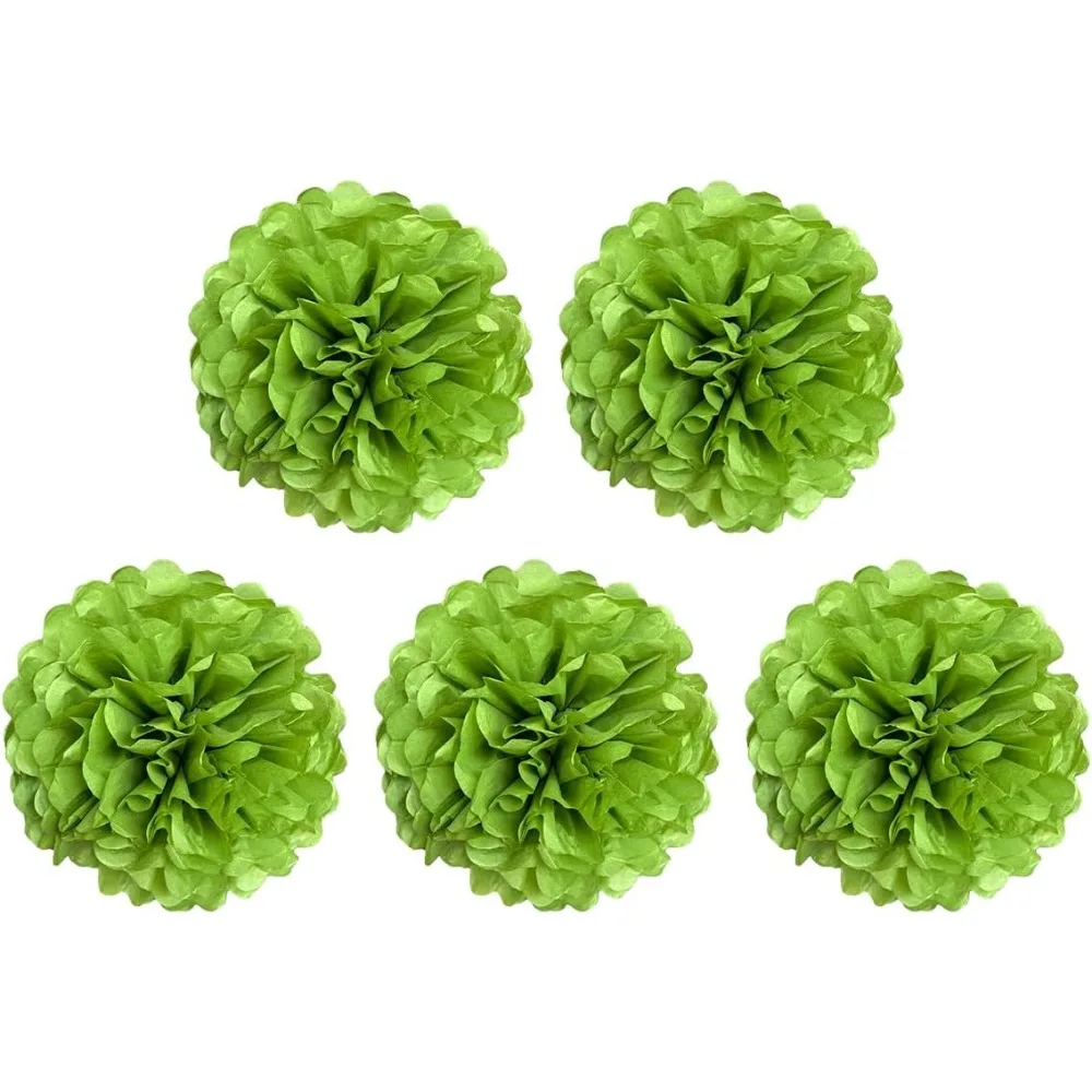 5 Pcs 6 8 10 12 inch Tissue Paper Pom Poms, Paper Flower Balls Hanging Fluffy Tissue Paper Flowers Decorations Paper Pompom