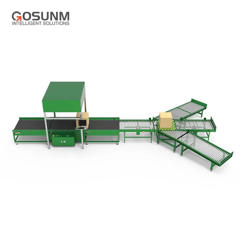 Sistema de classificação de logística expressa de pacotes/máquina de classificação de pacotes com máquina de classificação Dws com Dws