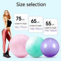 Thickened Yoga Ball Anti-Burst Yoga Balance Ball for Pilates Postpartum Recovery and CoreWorkout Pilates Fitness Gym Balance