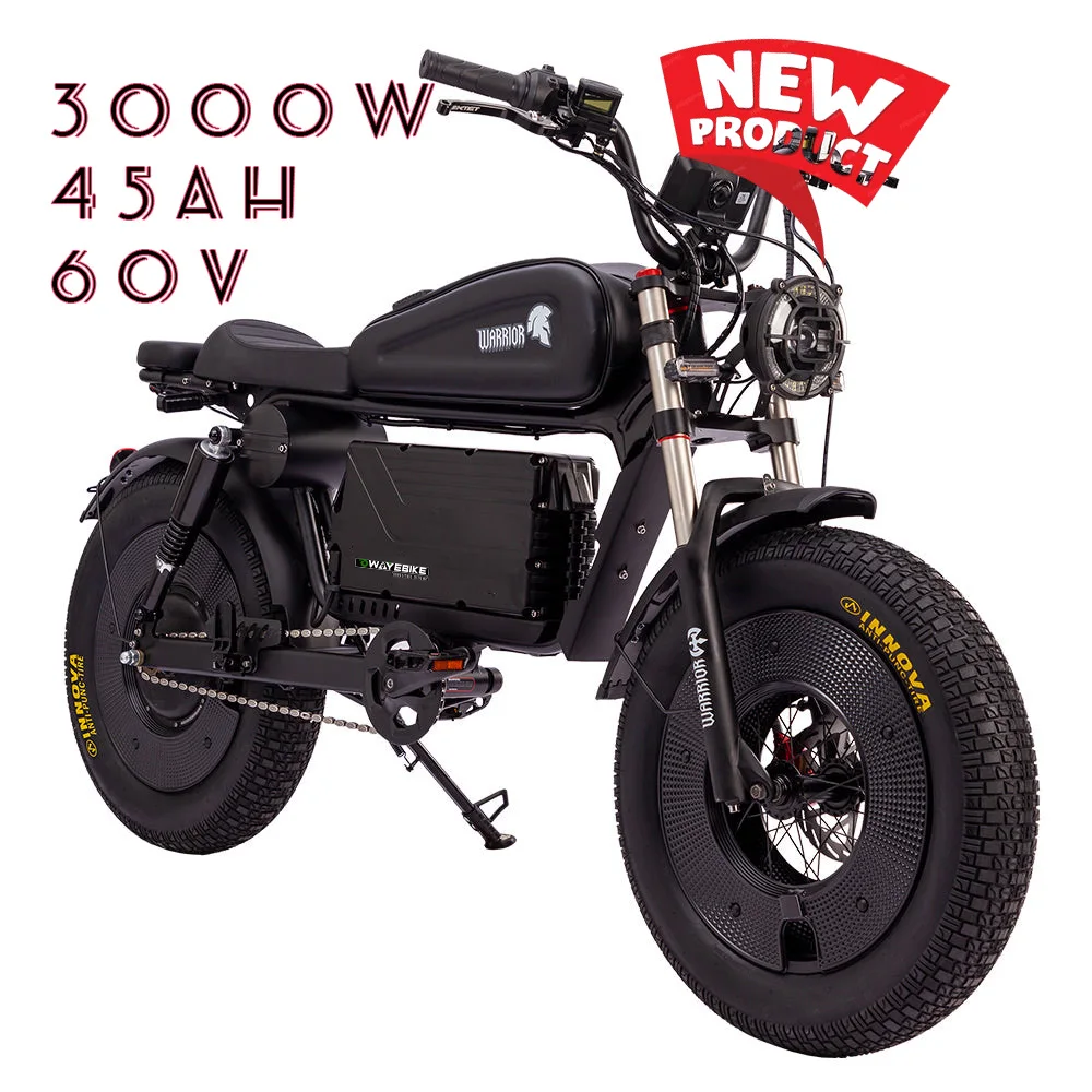 CE Approved 60V 45Ah Electric Dirt Bike High Power Fatbike Mountain Ebike Adults