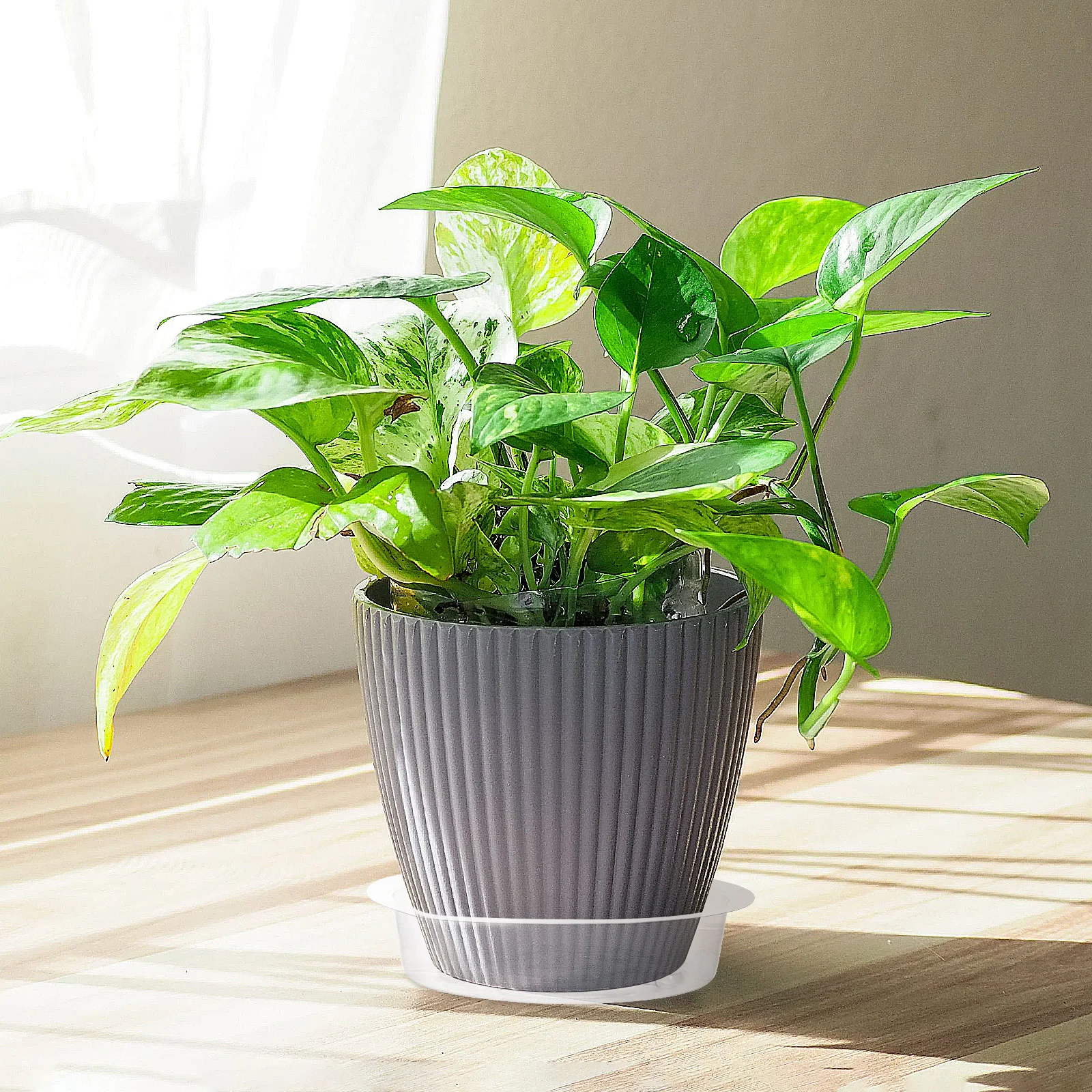 

50Pcs 6 Inch Clear Plastic Flower Pot Tray Durable Pet Material for Indoor Outdoor Use with Stable Base Flower Pot Tray