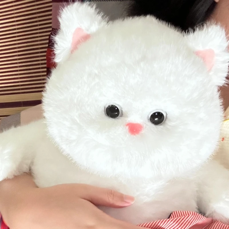 Juguete de peluche de gato blanco de 35cm, figuras de Anime para niña, decoración de habitación Kawaii, regalo de Navidad para niños