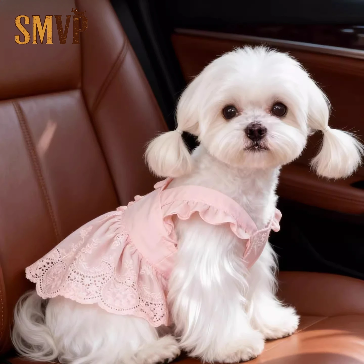

Spring and Summer Hollow Embroidery American Vacation Style Refreshing Cute Suspender Dress Pet Kitten Small Dog Dress