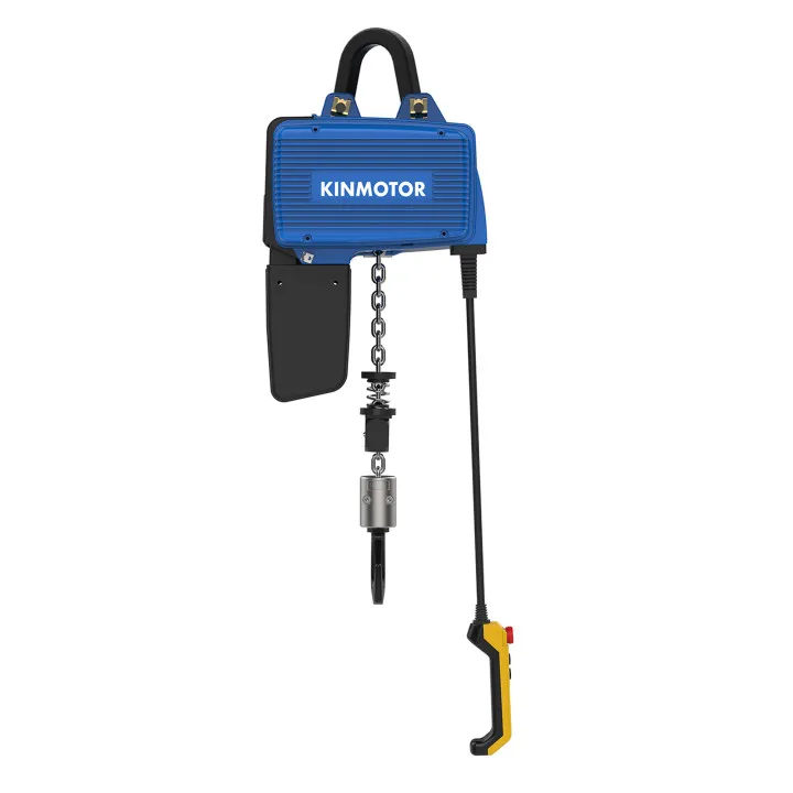 

Factory Durable D2B025 Series Electric Chain Hoist 250KG High 4m 5m 6m 8m