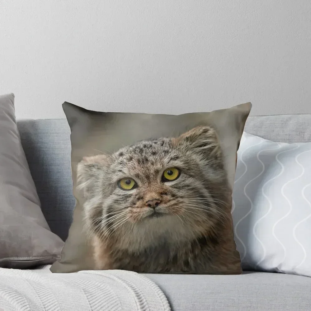 

A Pallas's cat portrait Throw Pillow Pillow Case Sofa Pillow Cover pillowcases for sofa cushions Sitting Cushion