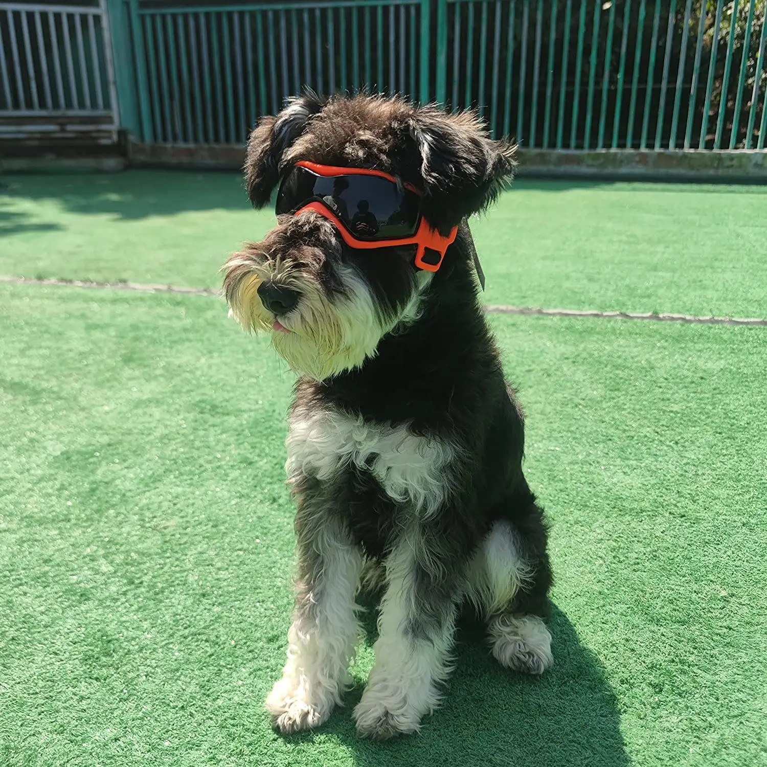 Gafas protectoras UV para perros y gatos, gafas de sol de protección para perros pequeños y medianos, accesorios para montar al aire libre para