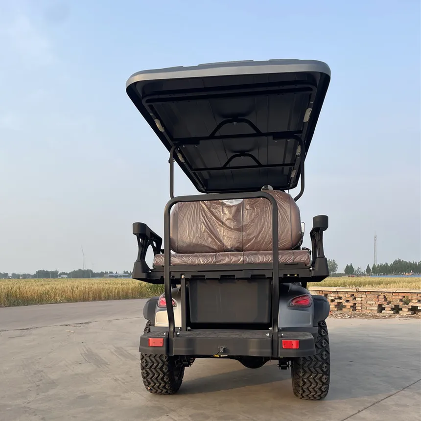 Electric Cart Eye-catching Appearance And environmentally friendly Golf Push Cart Factory Price Electric vehicles Street legal