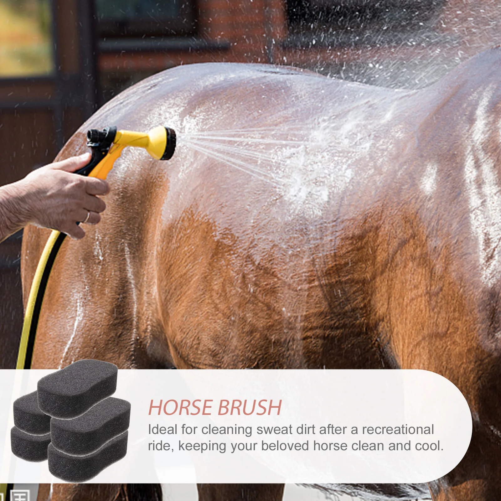 5Pcs Large Bathroom Cleaner For Sponge Cleaning Horse Removing Accessories Sponge For Kitchen Sponges Horse Sponge Brush