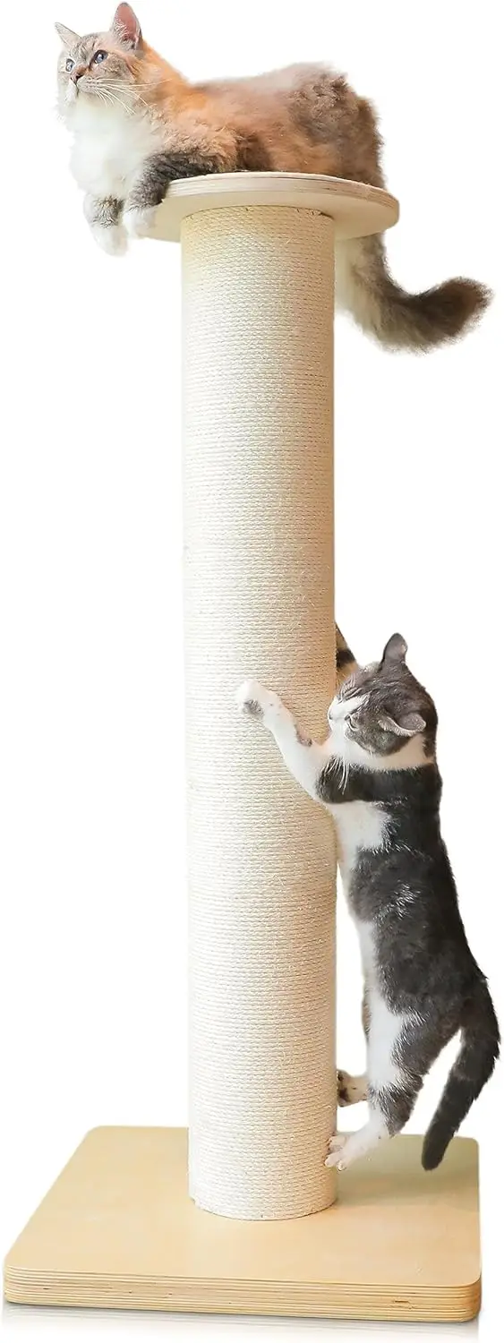 

50" Tall Cat Scratching Post, Extra-Large Cat Scratch Post for Biggest Cats (Maine Coon), 7.3” Thick Post, 36lbs Weight