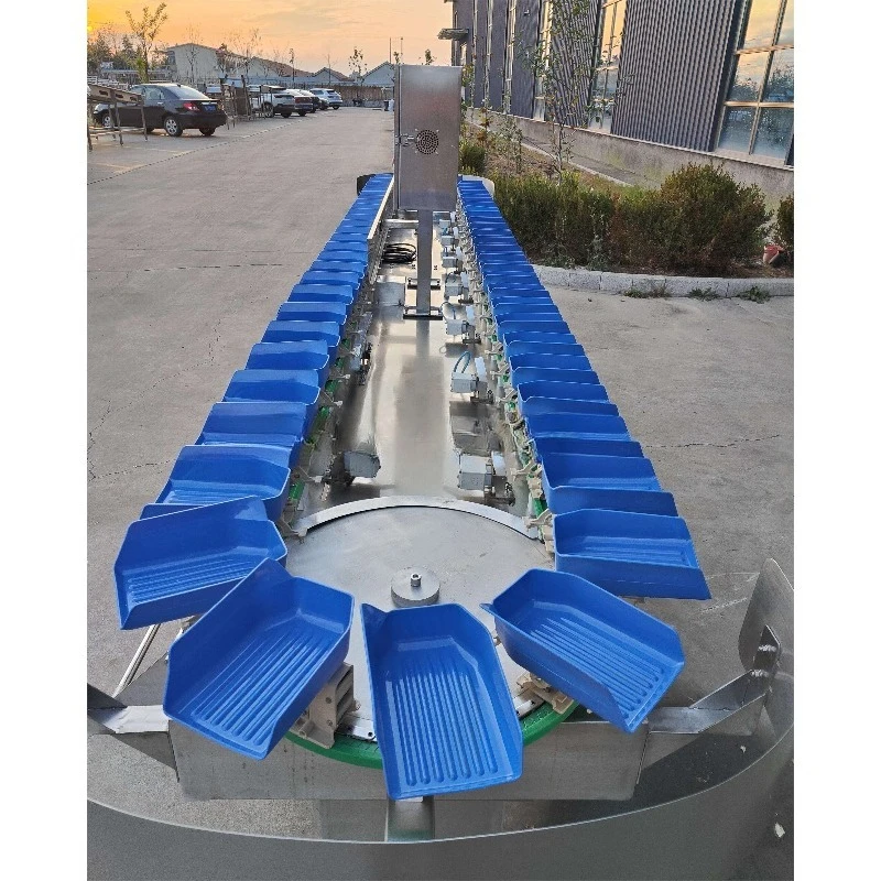 Vegetables Fruits Citrus Avocado Garlic Onion Lemon Mango Apple Orange Weight Sorting Grading Machine Sorter Grader 304