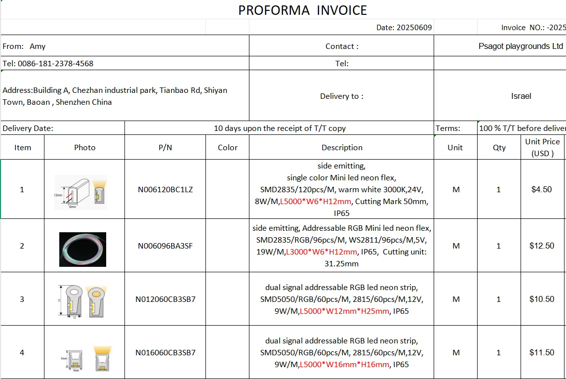LED Neon Strip For Ittay
