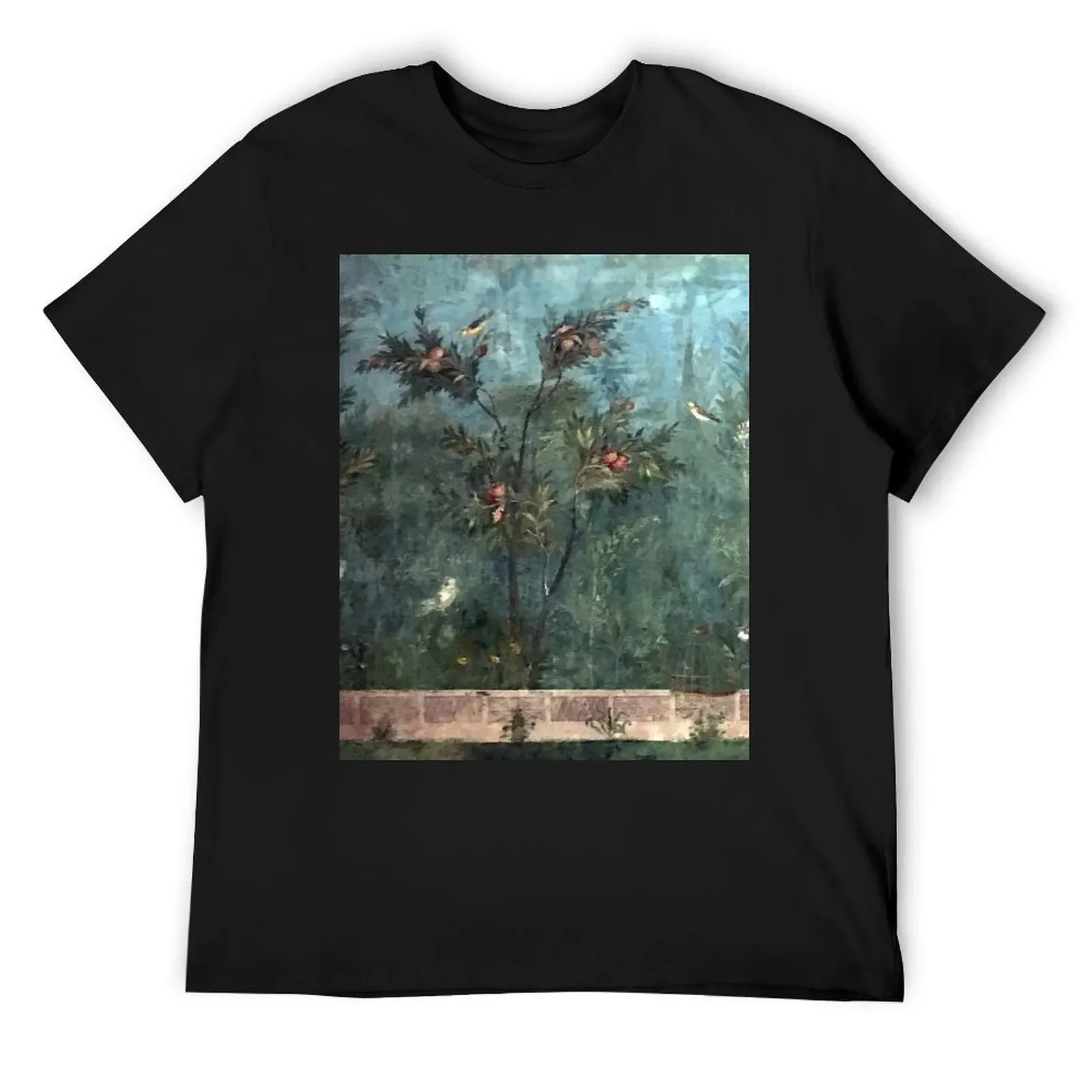 Ancient Roman Fresco from the villa of Empress Livia T-Shirt for a boy quick drying oversized t shirt plain black t shirts men