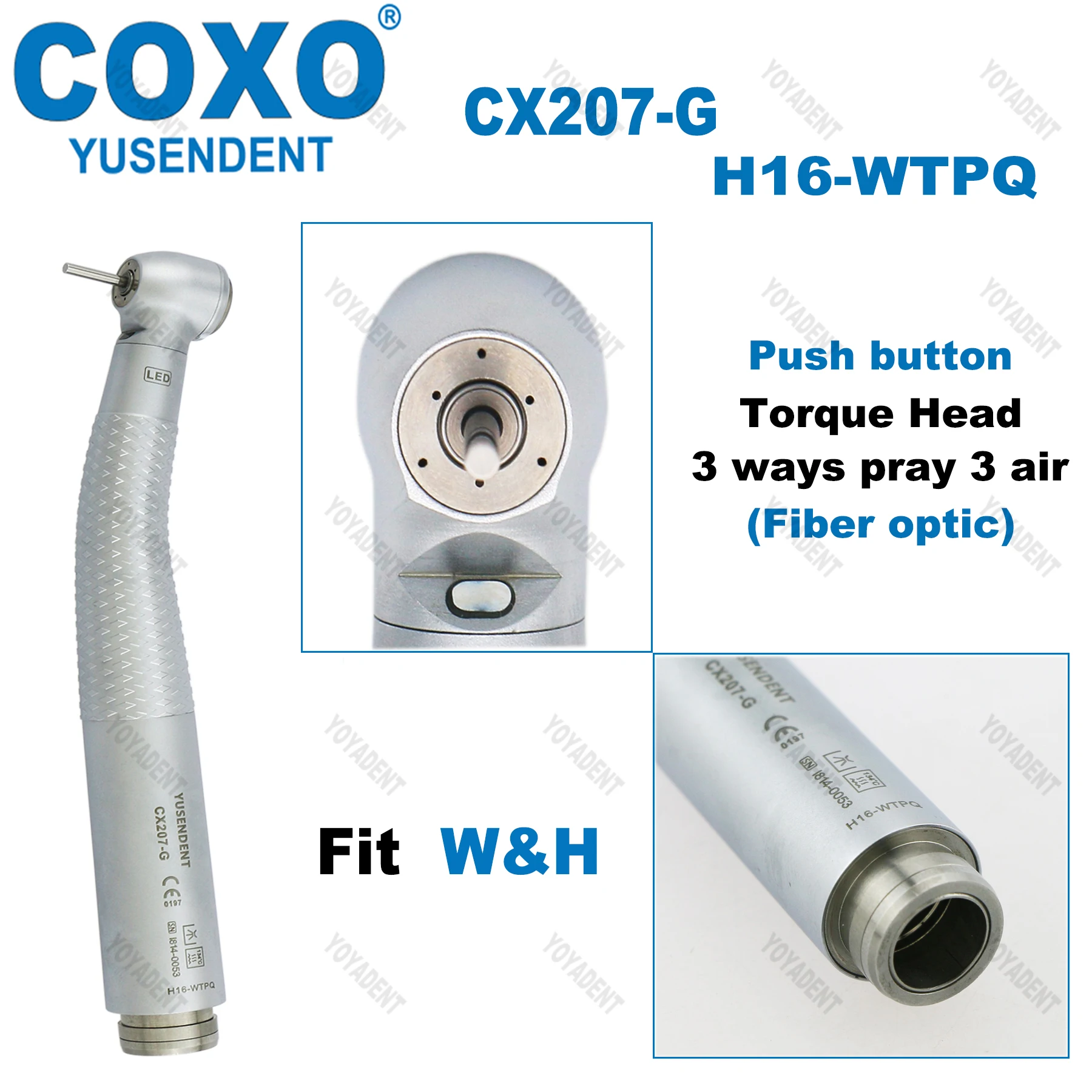 COXO Końcówka stomatologiczna Turbiny Końcówka światłowodowa o dużej prędkości Wirnik powietrza Standard/Torque Head LED Coupler 6-pin Fit WH