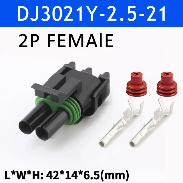 2P Female