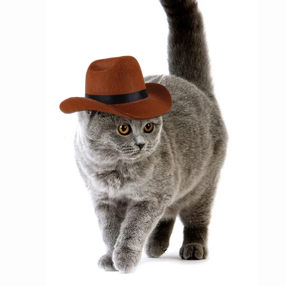 2024 neue Hund Cowboyhut Hunde Katze Outdoor Hüte verstellbare Kappen Mode für kleine mittlere Hunde Katzen Kopf bedeckung Haustier Zubehör