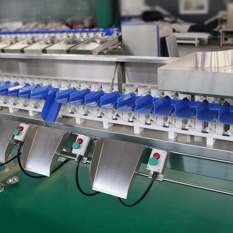 Custom Electronic Weigher Conveyor Belt Scale Potato Grading Dragon Fruit apple Avocado Orange Weight Sorting Machine
