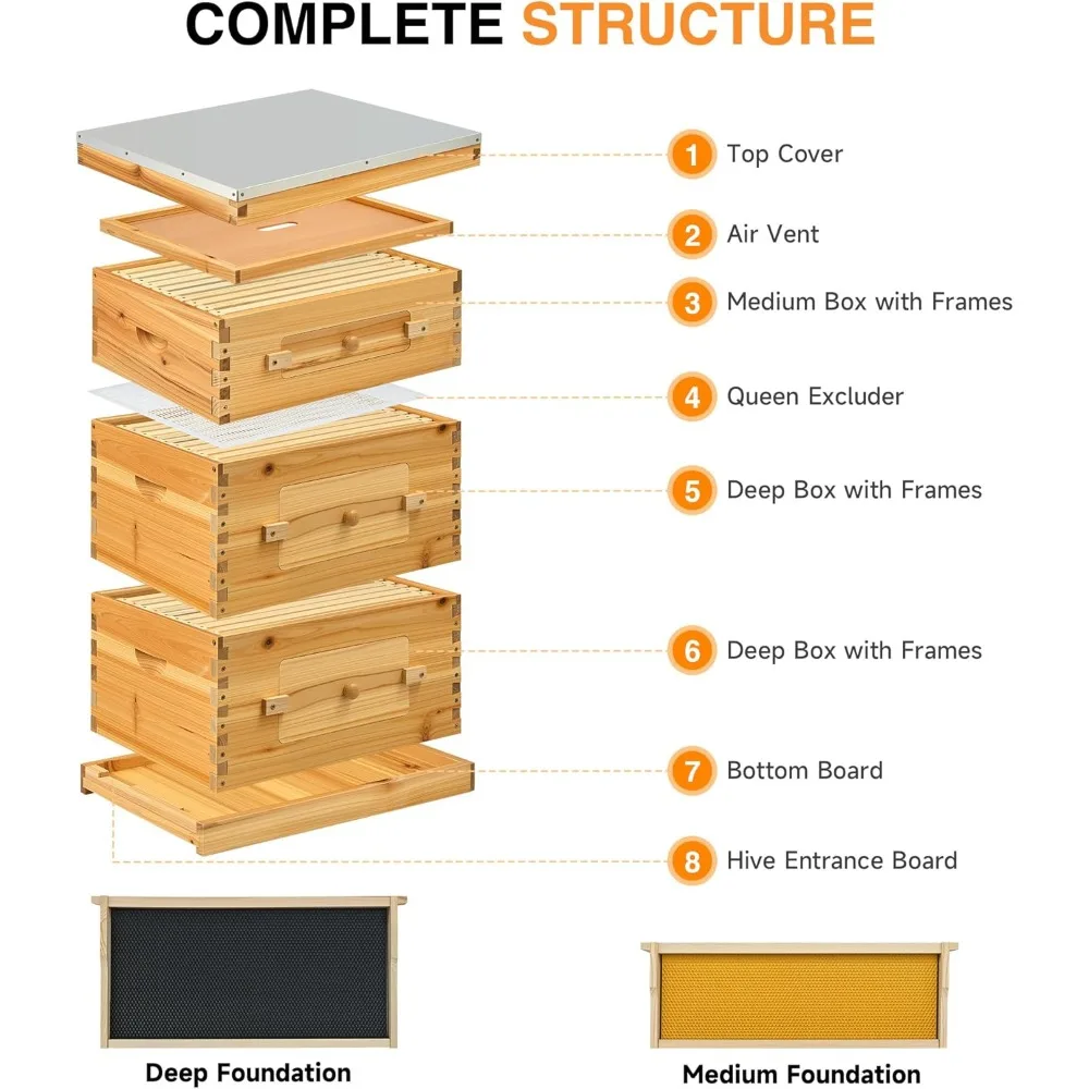 30 إطارًا من خلية النحل، مجموعة أدوات بداية صناديق خلية النحل مع صندوق متوسط وصندوقين عميقين، مجموعة خلية نحل مطلية بشمع العسل مع إطارات و
