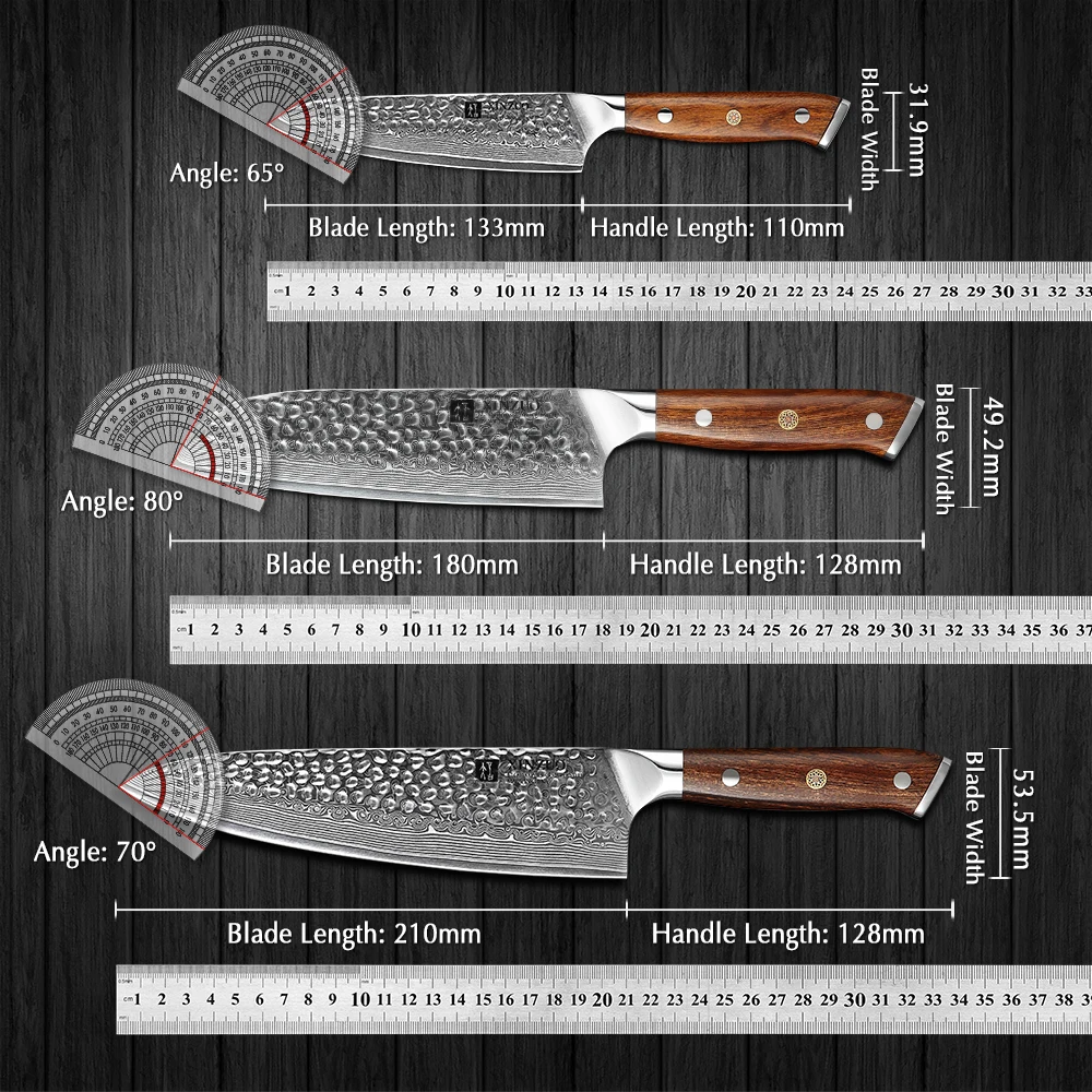 XINZUO Damascus Steel 5PCS Kitchen Knives Set with North America Desert Ironwood Handle Stainless Steel Chef Bread Paring Knife