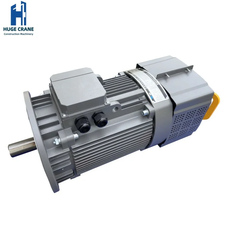 220 فولت الحد من رافعة برج محرك التروس تتضمن مكونات المحرك أجزاء آلات البناء