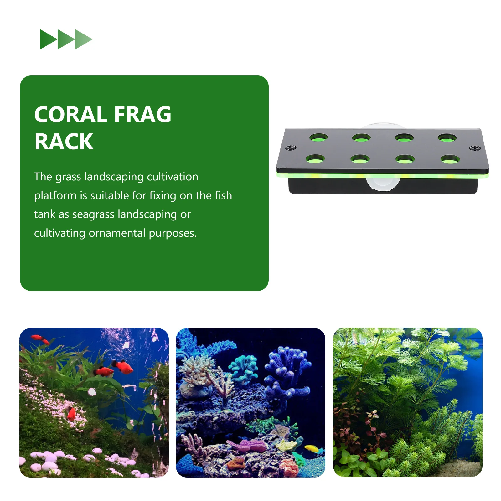 

Fluorescent Green Coral Bracket Fish Tank Aquarium Wear Resistant Hardness Coral St Reef Safe Non Polluting Water Growth