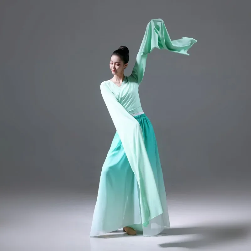 Chinese Classic Yangko Dance Costume National Folk Dancewear Woman Water Sleeve Stage Performance Outfit Hanfu Dance Clothing