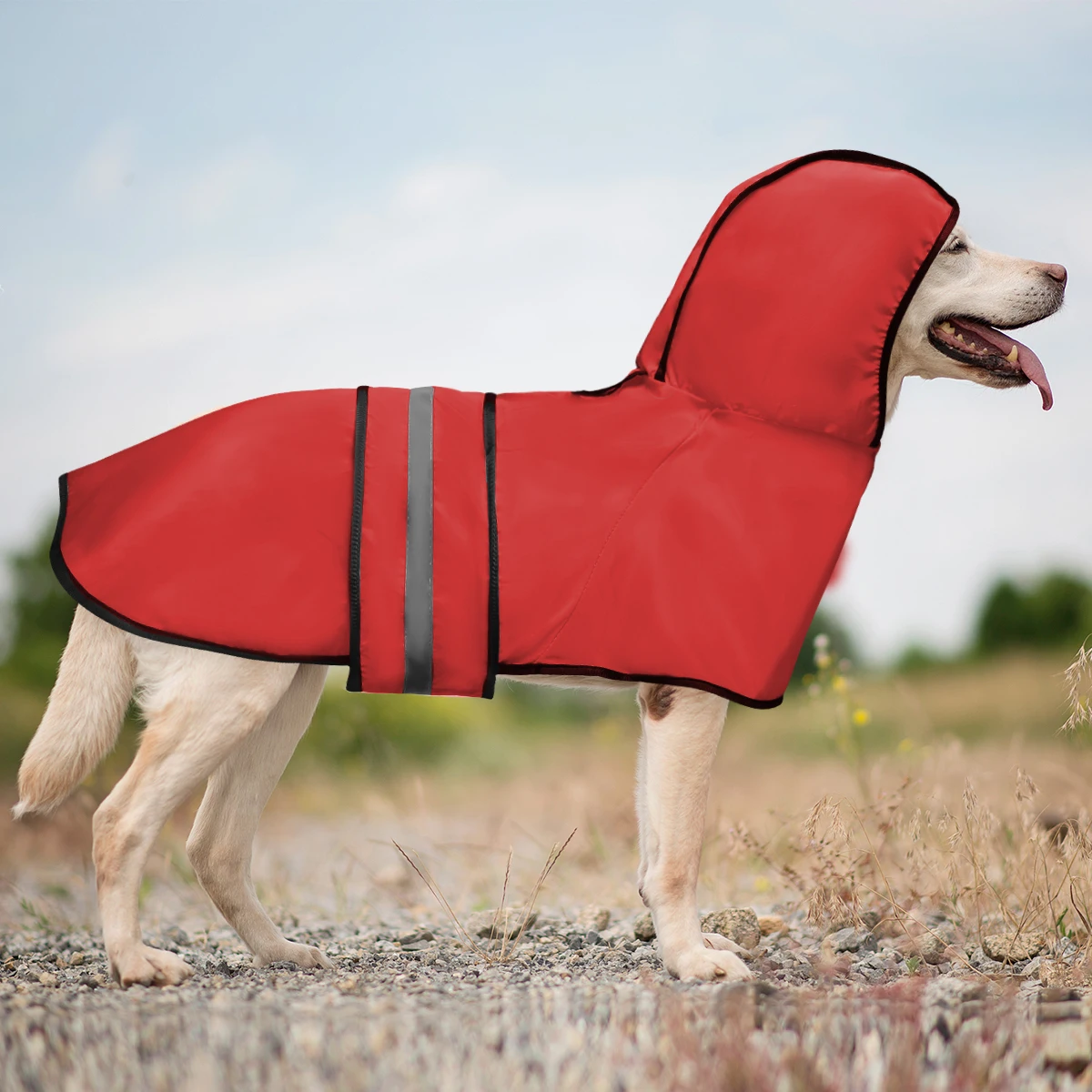 Thumbnail 3 - #1 Cheapest Pet Rain Jackets Deals You Can Get