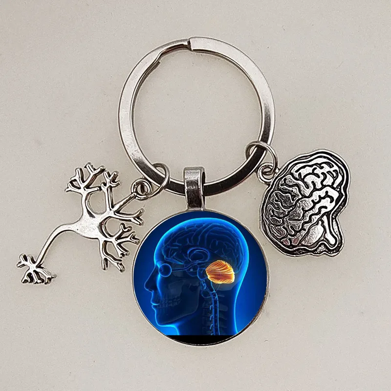 Psychology New Key Chain Medical Anatomy Key Brain Heart Nerve Cell Shape Doctor and Nurse Wrap Chain Jewelry Gift Psychologist