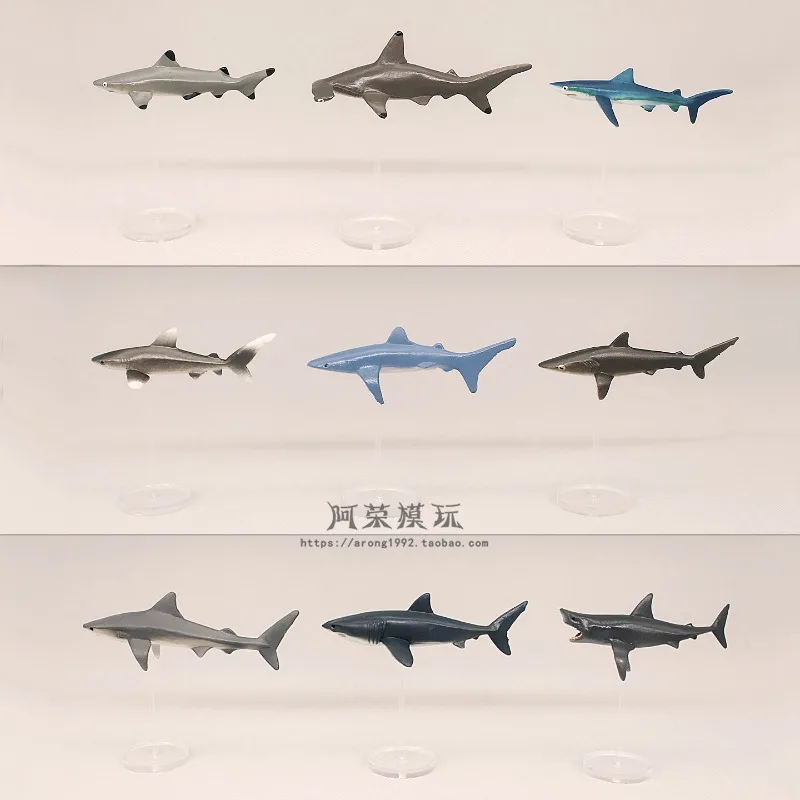 Animali marini in miniatura Action Figures Modello Squalo a testa di martello Squalo blu Grande squalo bianco Decorazione paesaggio microscopico