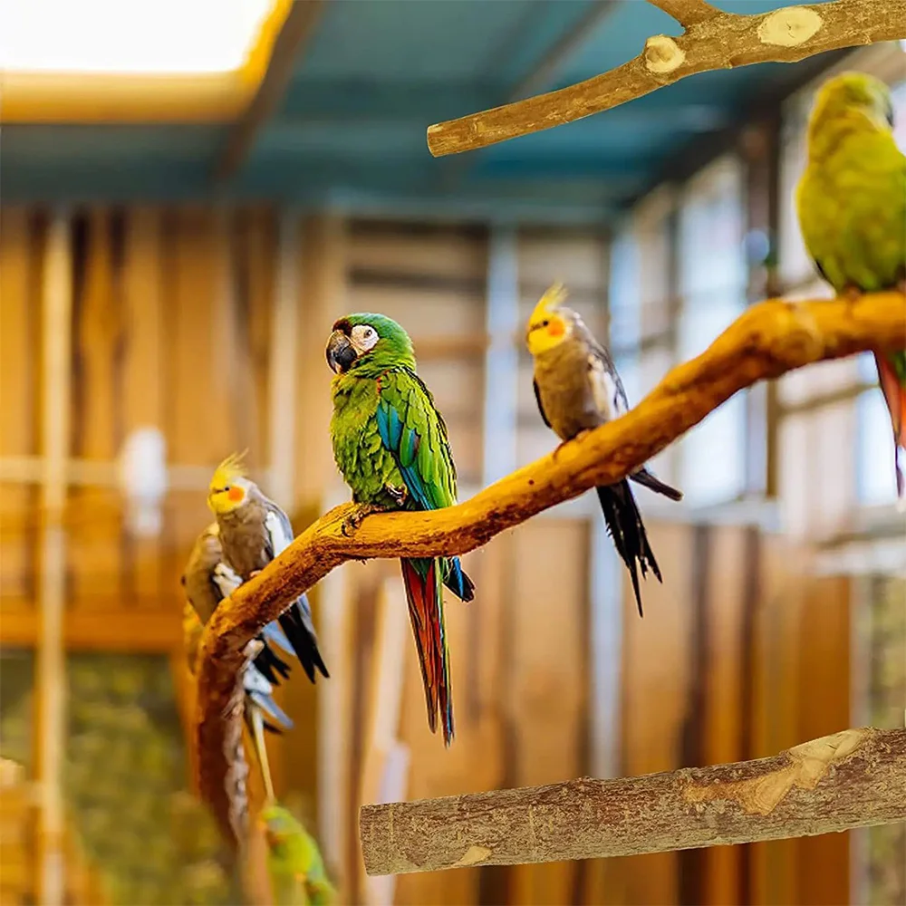 Natürlicher Vogelsitz aus Redbud-Holz mit Schraubbefestigung, 5 Größen, Käfigzweig für Wellensittiche, Nymphensittiche und Agapornis – Detail 3