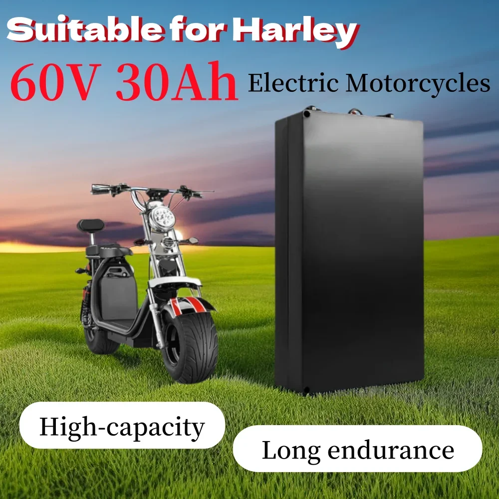 

16S8P For Harley electric motorcycle 60V 30Ah lithium battery Waterproof Two Wheel Foldable Citycoco Electric Scooter Bicycle