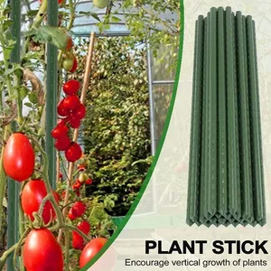 أفضل 10 مبيعات لتسلق الأشجار - رقم 8