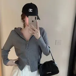 Age Reducing Explosive Street Hoodie Women's Knitted Cardigan High-end Gray Design Short High Waisted Sweater Small Stature