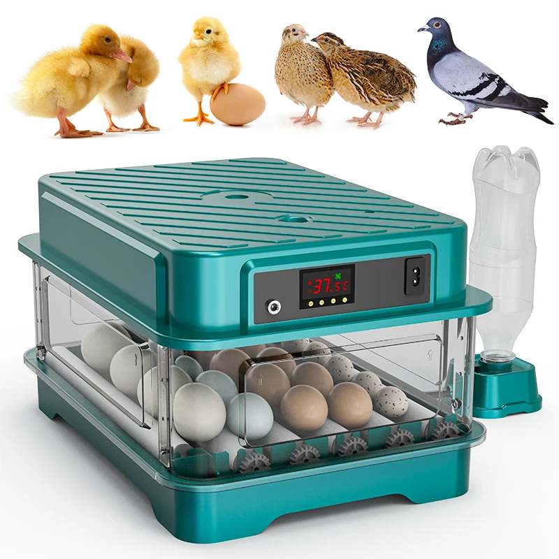 24 Eggs Dual Power Automatic Eggs Turning Chicken Hatching Incubator Chick Duck Quail Egg Incubators
