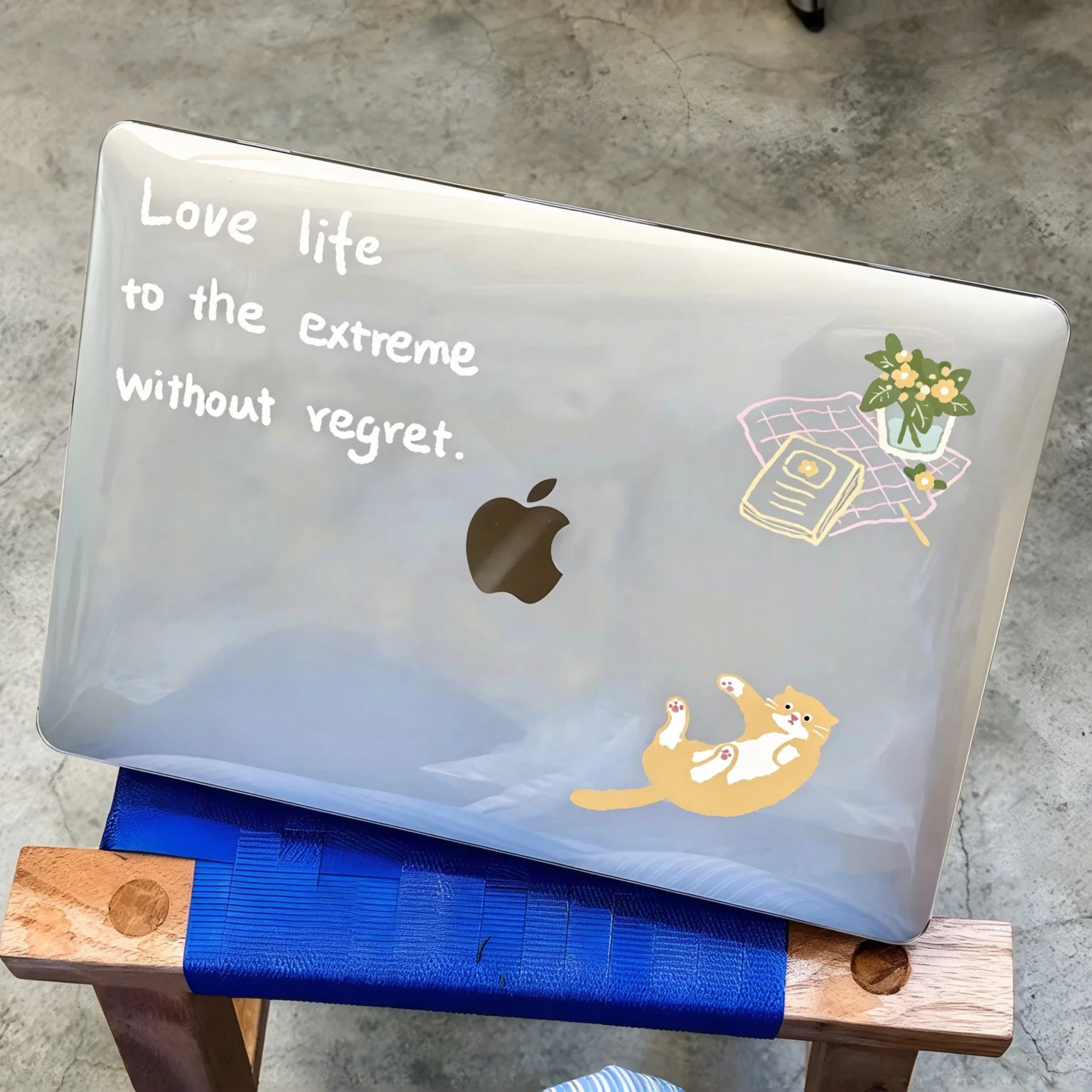 Funny Kitten Cat Crystal Laptop Case For Macbook Air 13.6 M4 NEO 15 M3 Hard Cover For Mac Book Pro 13 M1 M2 14 M4 M5 16 Cover